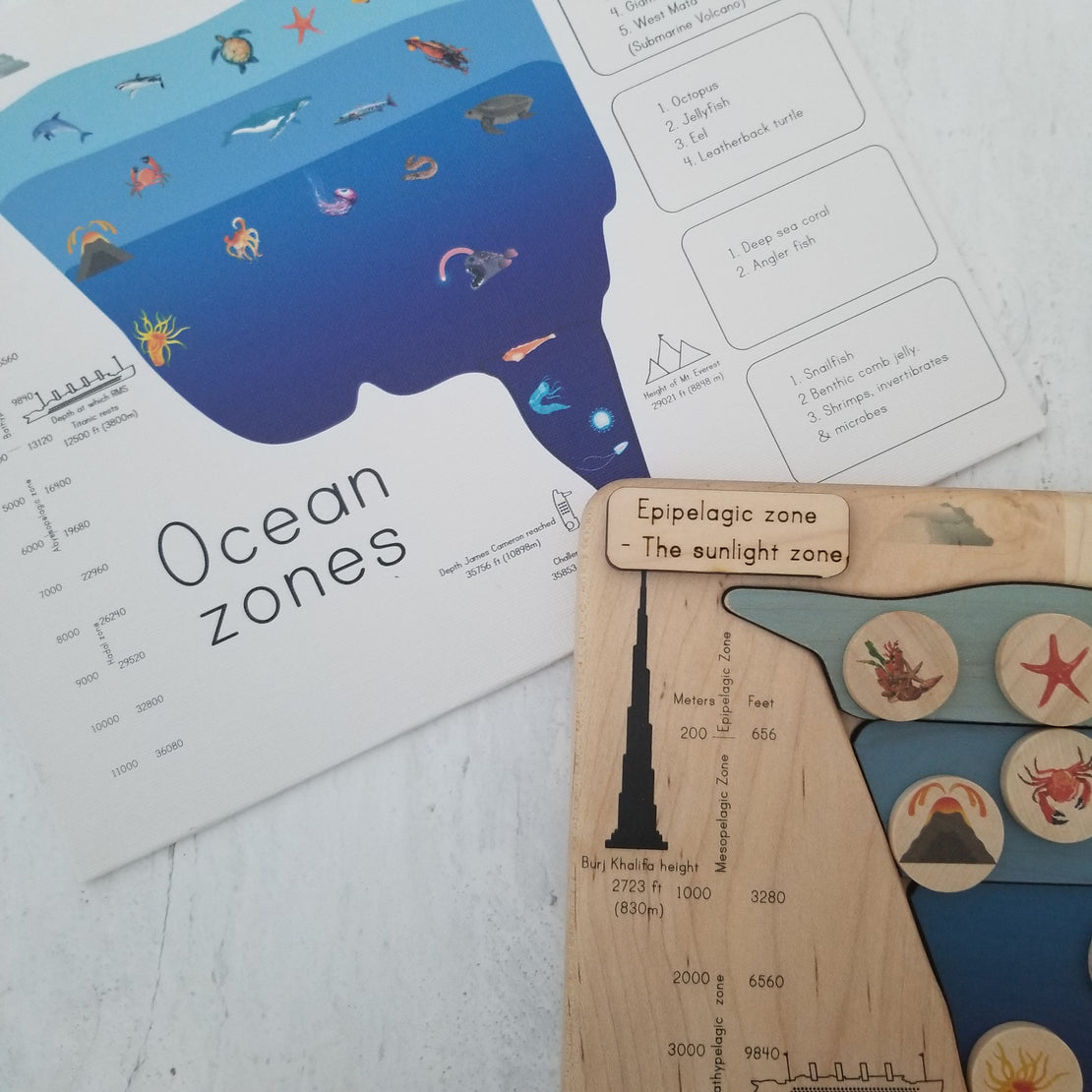Zones of the ocean puzzle - Layers of the ocean