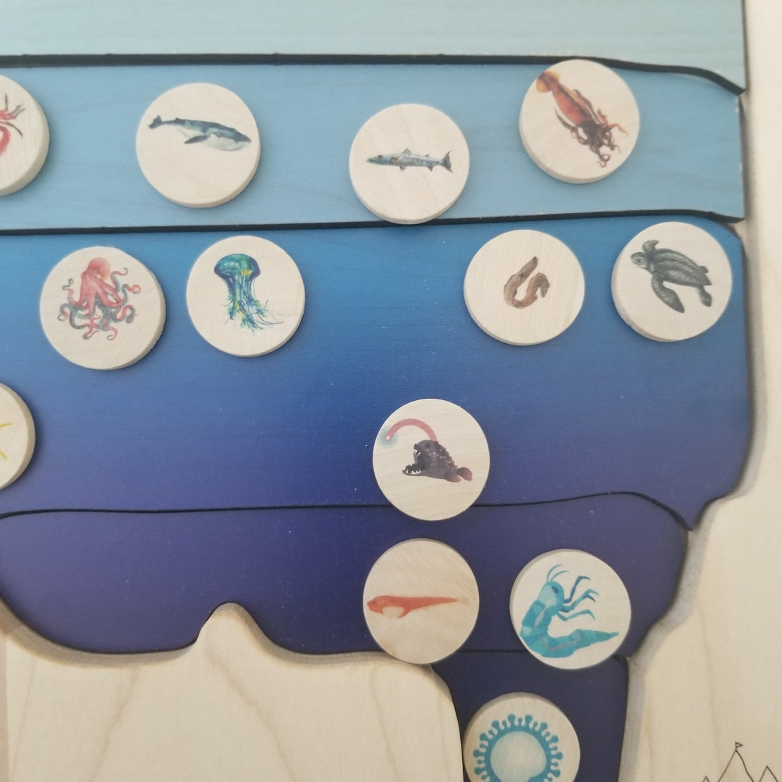 Zones of the ocean puzzle - Layers of the ocean