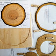 Parts of a tree trunk puzzle, layers of tree trunk, tree ring puzzle, dendrochronology