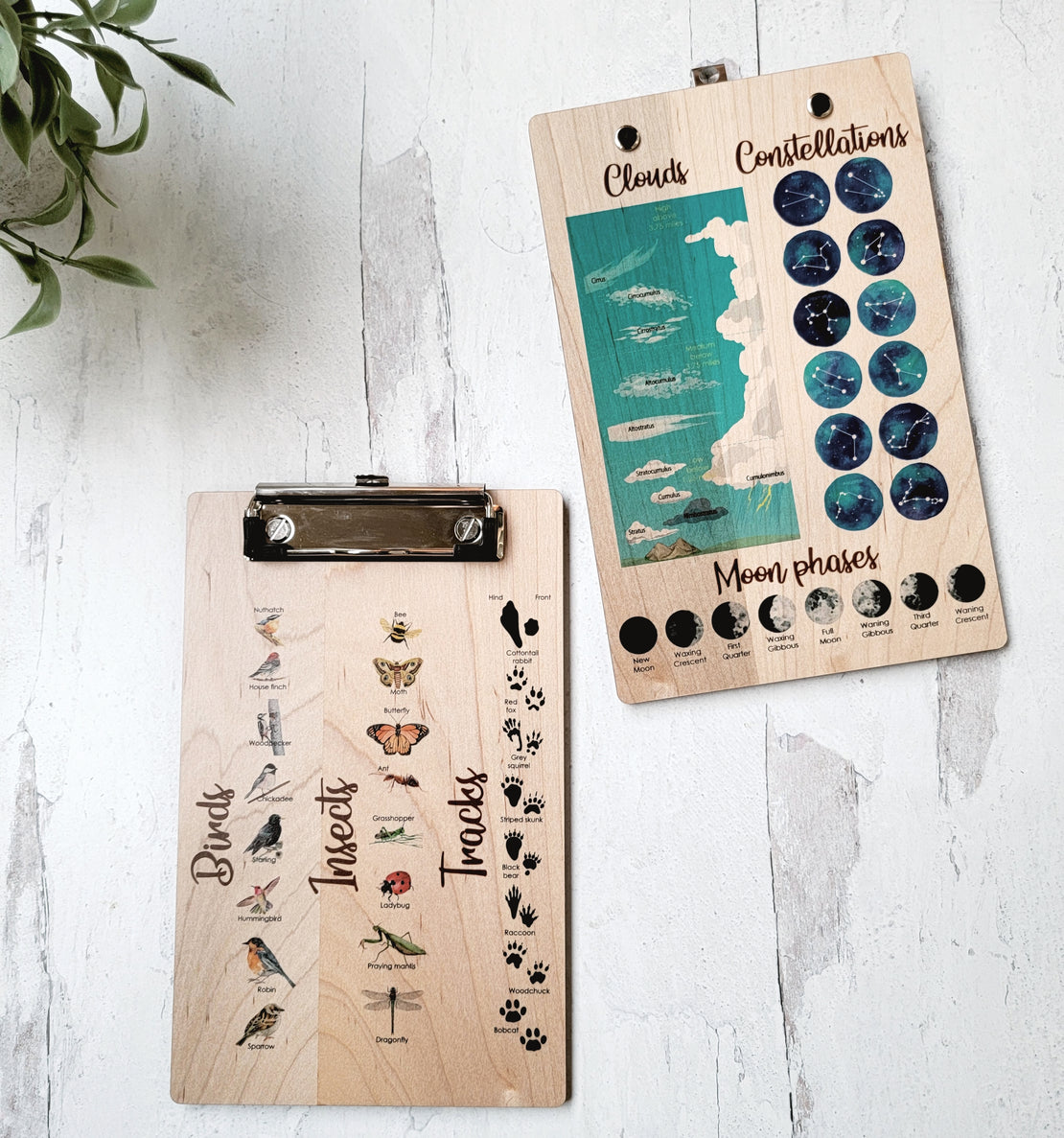 SECONDS/IMPERFECT Explorer clipboard, nature clipboard