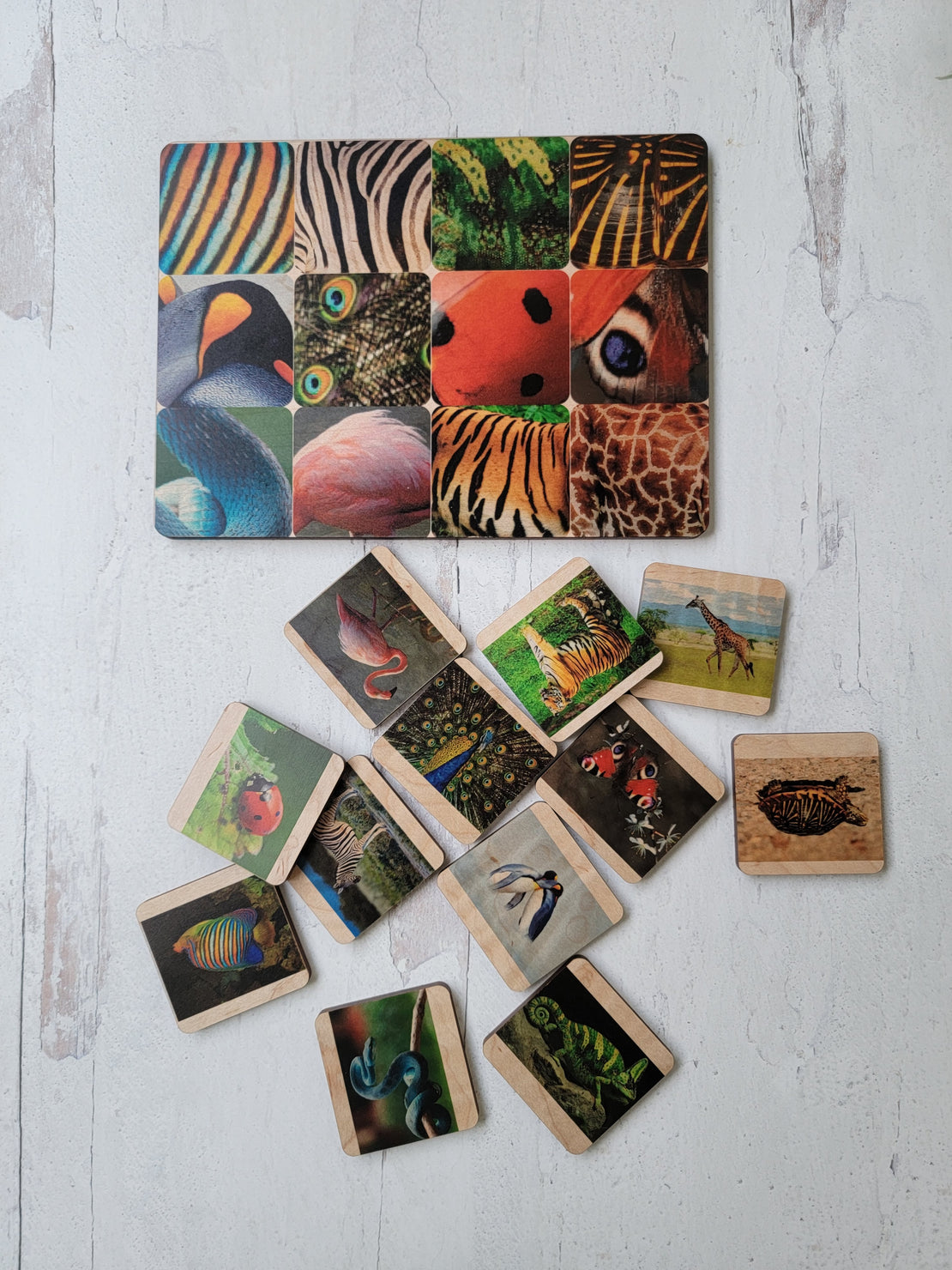 SECONDS/IMPERFECT Skin matching game - Pattern matching, sequencing - Montessori primary material