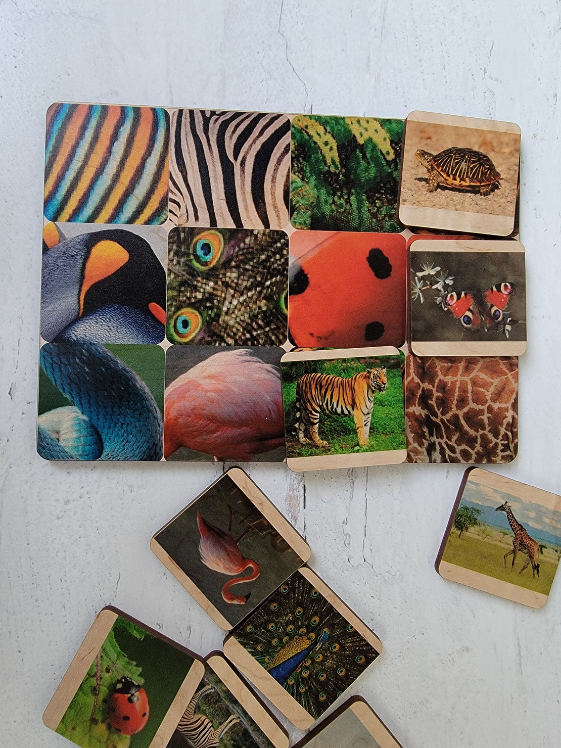SECONDS/IMPERFECT Skin matching game - Pattern matching, sequencing - Montessori primary material