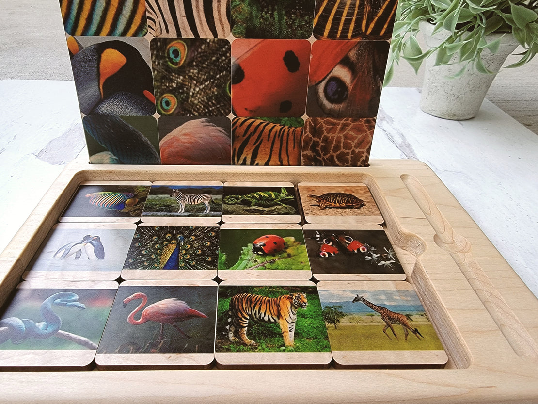 SECONDS/IMPERFECT Skin matching game - Pattern matching, sequencing - Montessori primary material