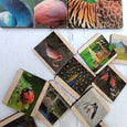 SECONDS/IMPERFECT Skin matching game - Pattern matching, sequencing - Montessori primary material