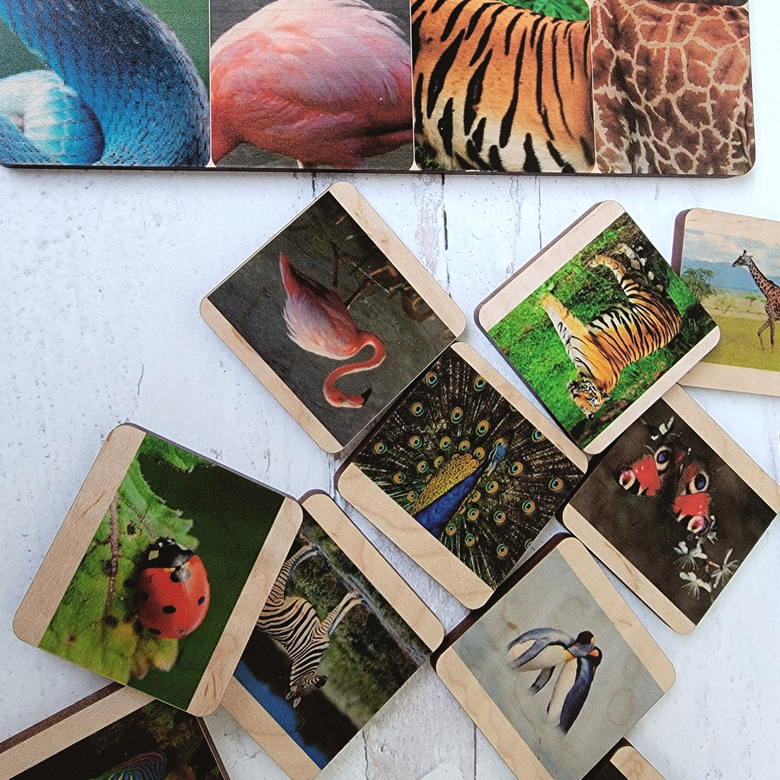 SECONDS/IMPERFECT Skin matching game - Pattern matching, sequencing - Montessori primary material
