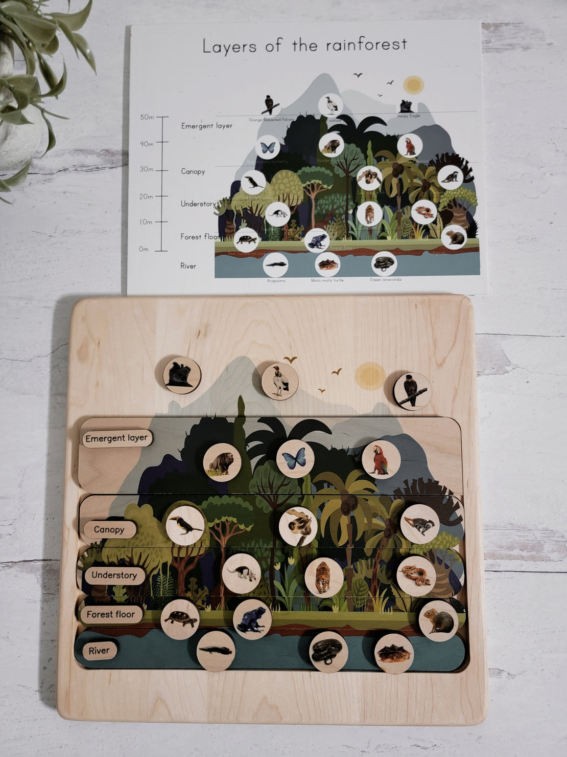 Layers of the rainforest wooden puzzle - montessori material