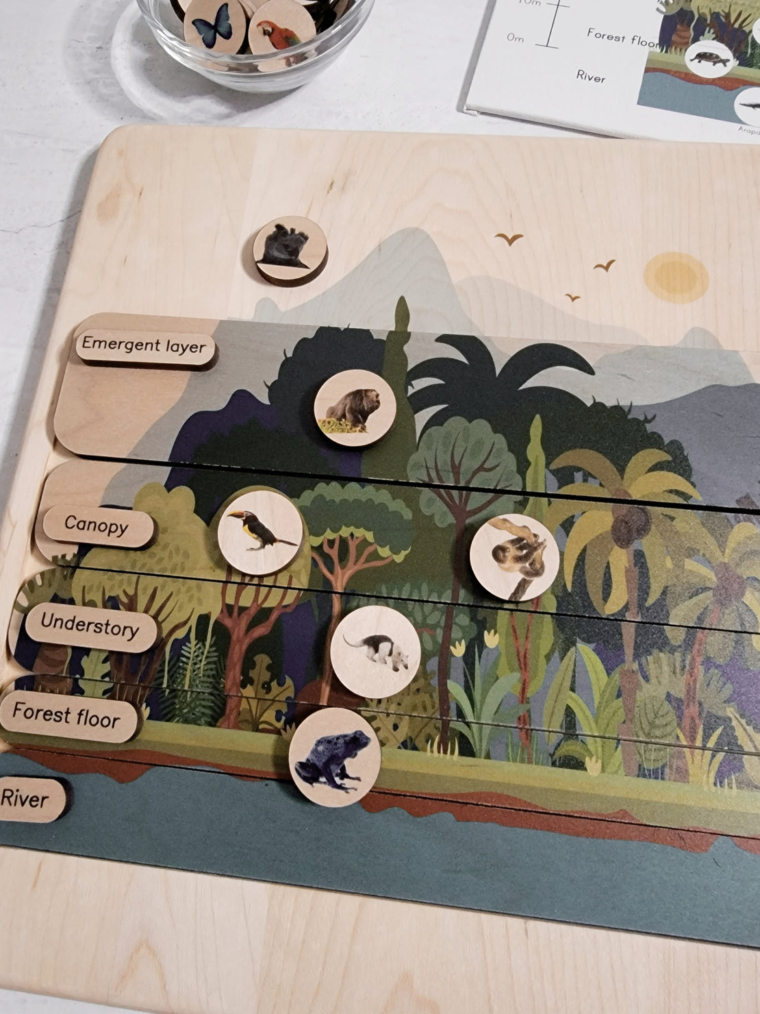 Layers of the rainforest wooden puzzle - montessori material