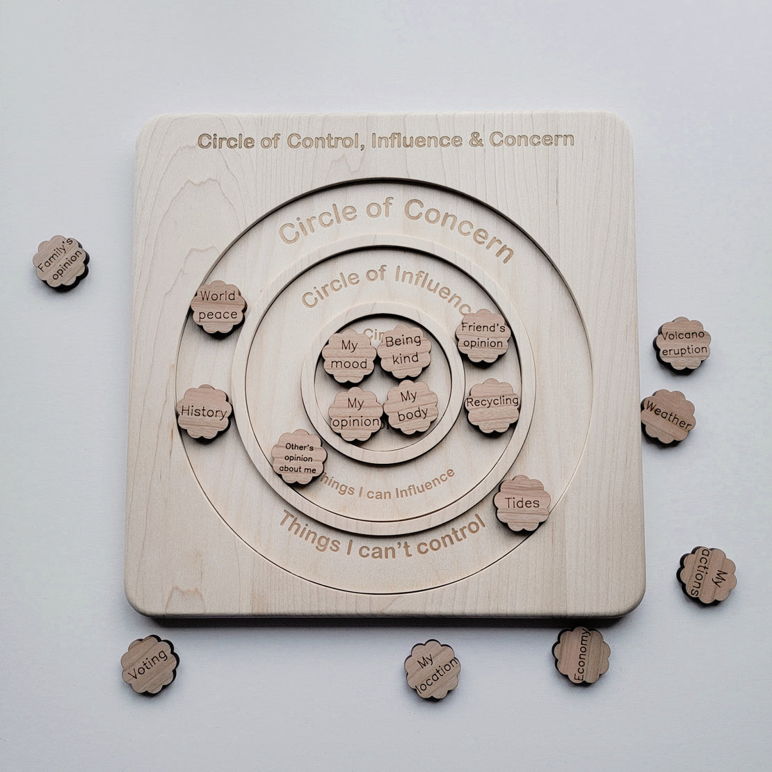 Circle of control board - circle of influence - circle of concern - Growth mindset