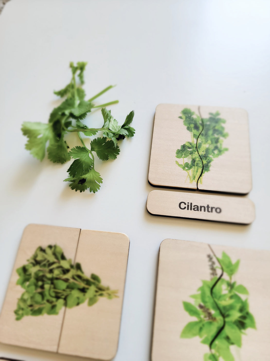 Herbs self correcting puzzle