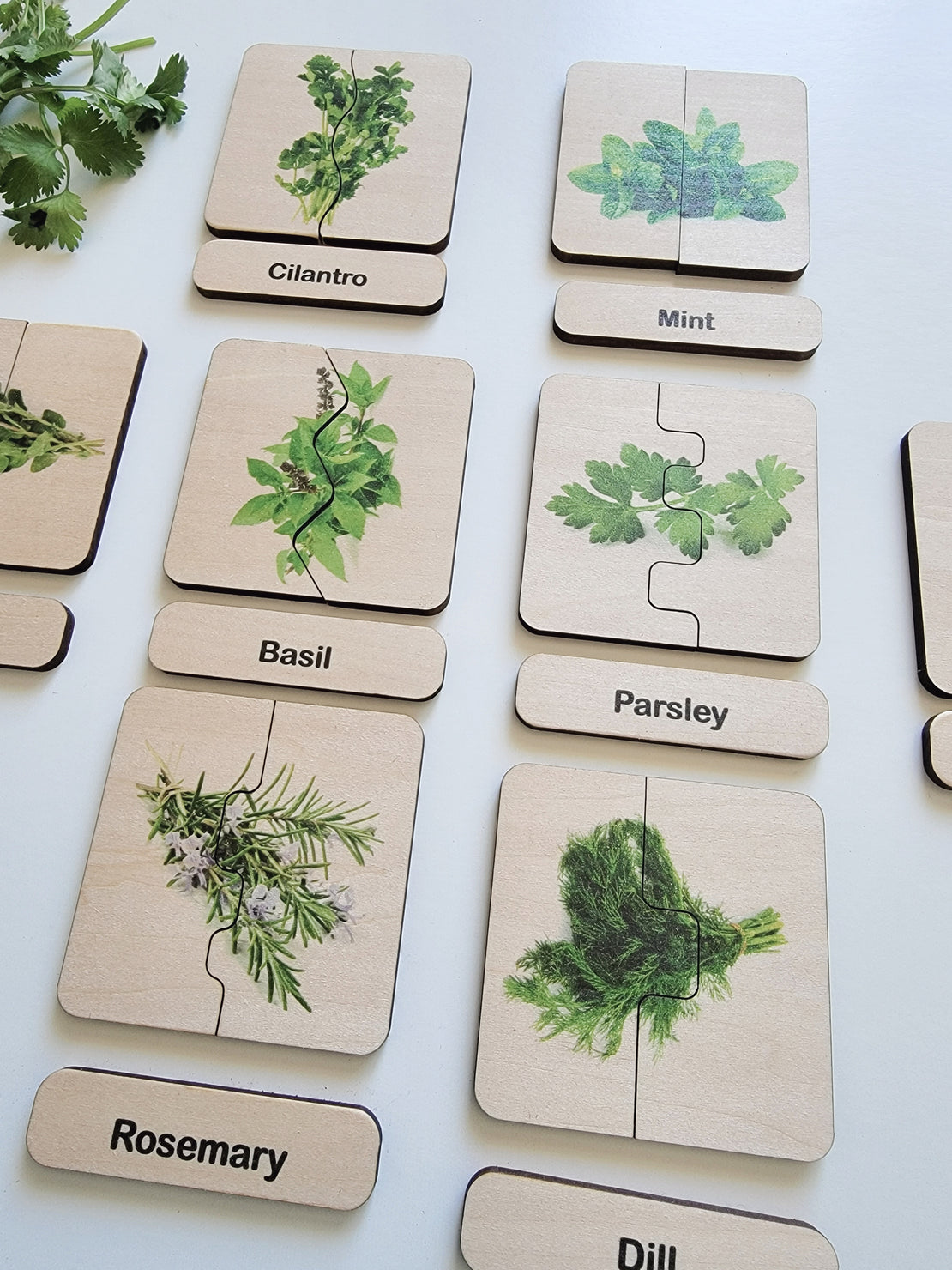 Herbs self correcting puzzle