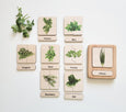 Herbs self correcting puzzle