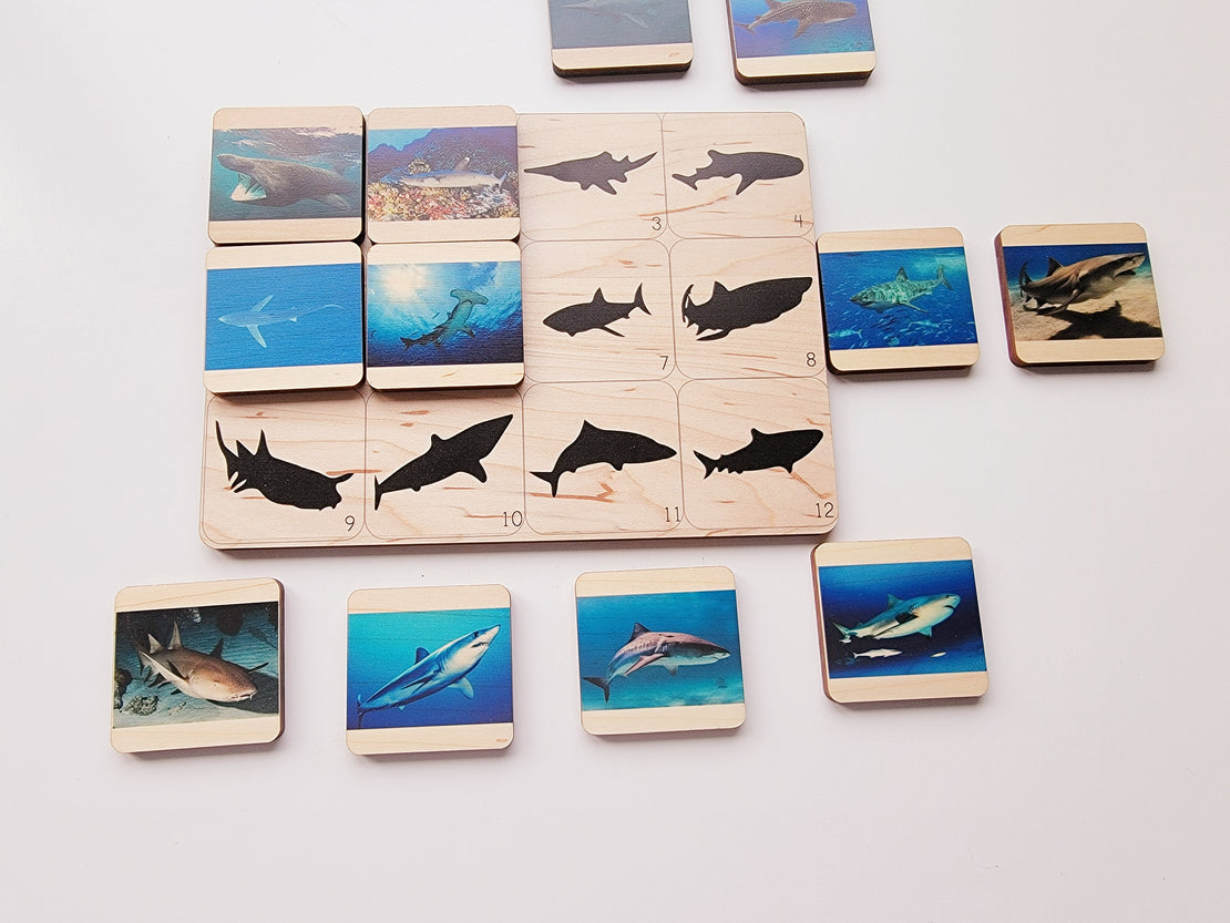 Shadow matching with types of sharks - visual discrimination