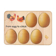 Chicken development - chicken gift- raising chickens - Montessori - wooden puzzle