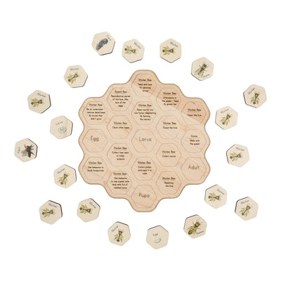 Double sided Honey bee puzzle - honeycomb - bee life cycle - types of bees