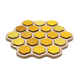 Double sided Honey bee puzzle - honeycomb - bee life cycle - types of bees