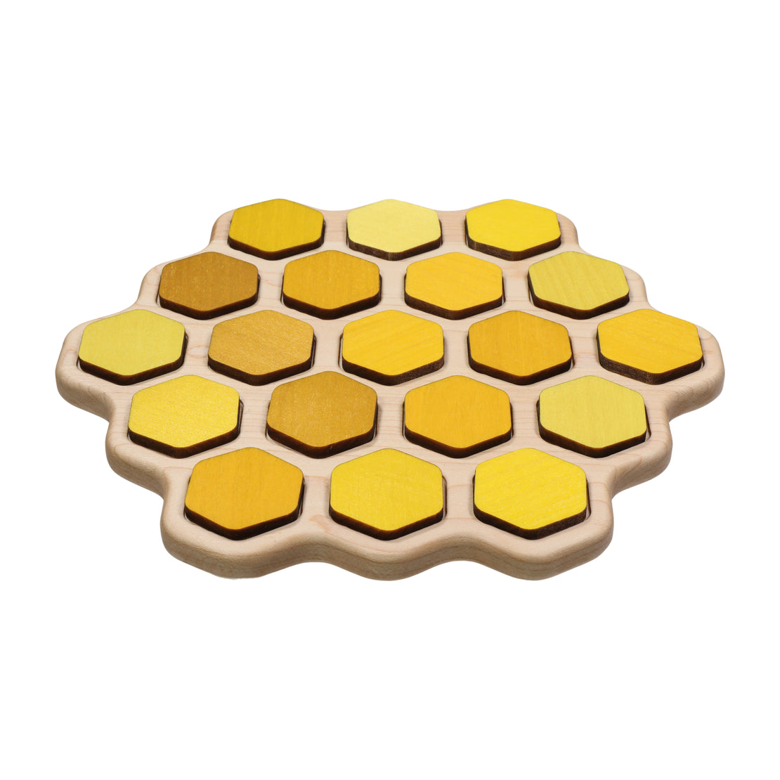 Double sided Honey bee puzzle - honeycomb - bee life cycle - types of bees