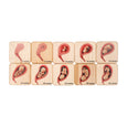 Doula Gift Ideas - Stages of pregnancy and fetal development wooden tiles, obgyn gift, midwife gift, doula gift, graduation gift