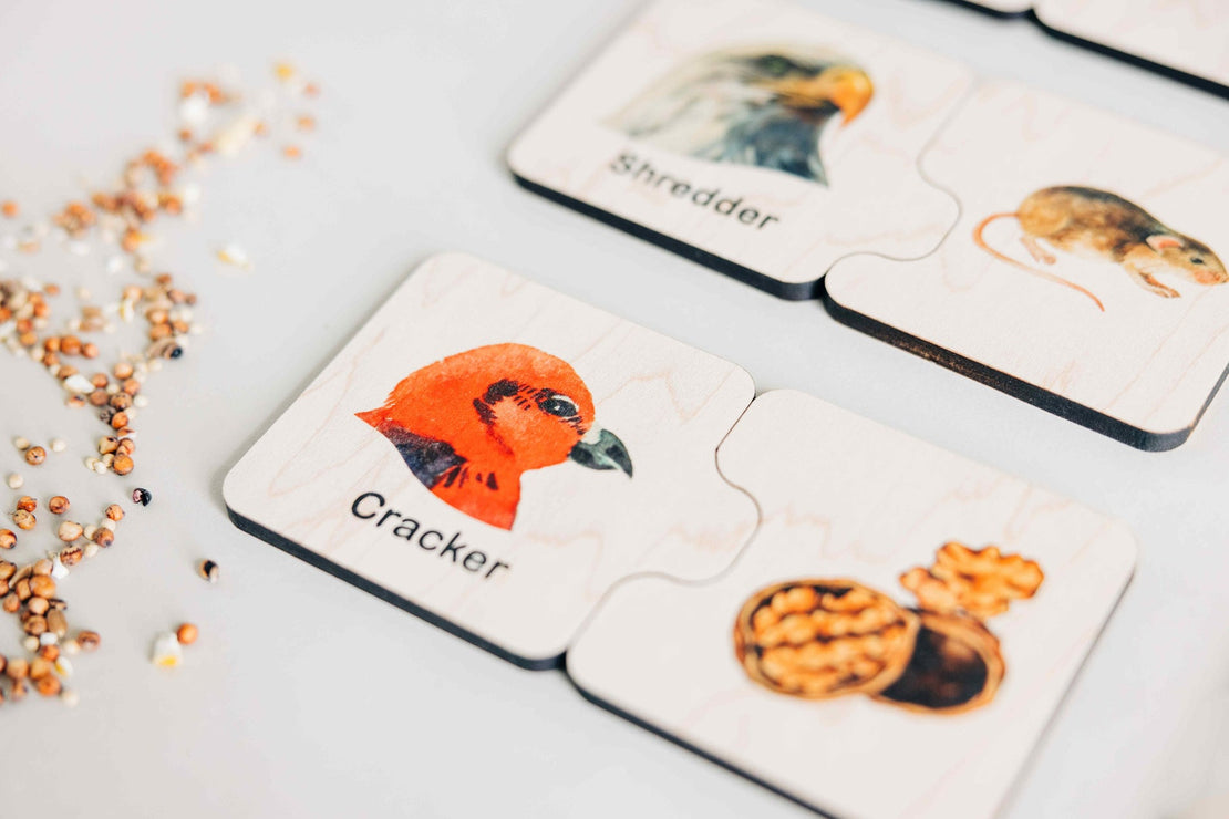Double sided self-correcting bird beak adaptations puzzle, Montessori educational toys, bird lover puzzle
