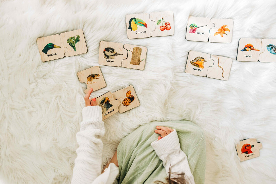 Double sided self-correcting bird beak adaptations puzzle, Montessori educational toys, bird lover puzzle