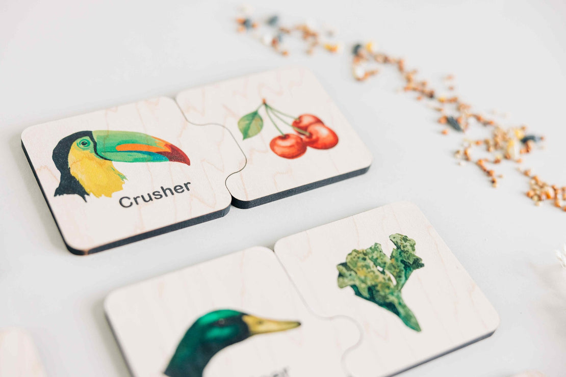Double sided self-correcting bird beak adaptations puzzle, Montessori educational toys, bird lover puzzle