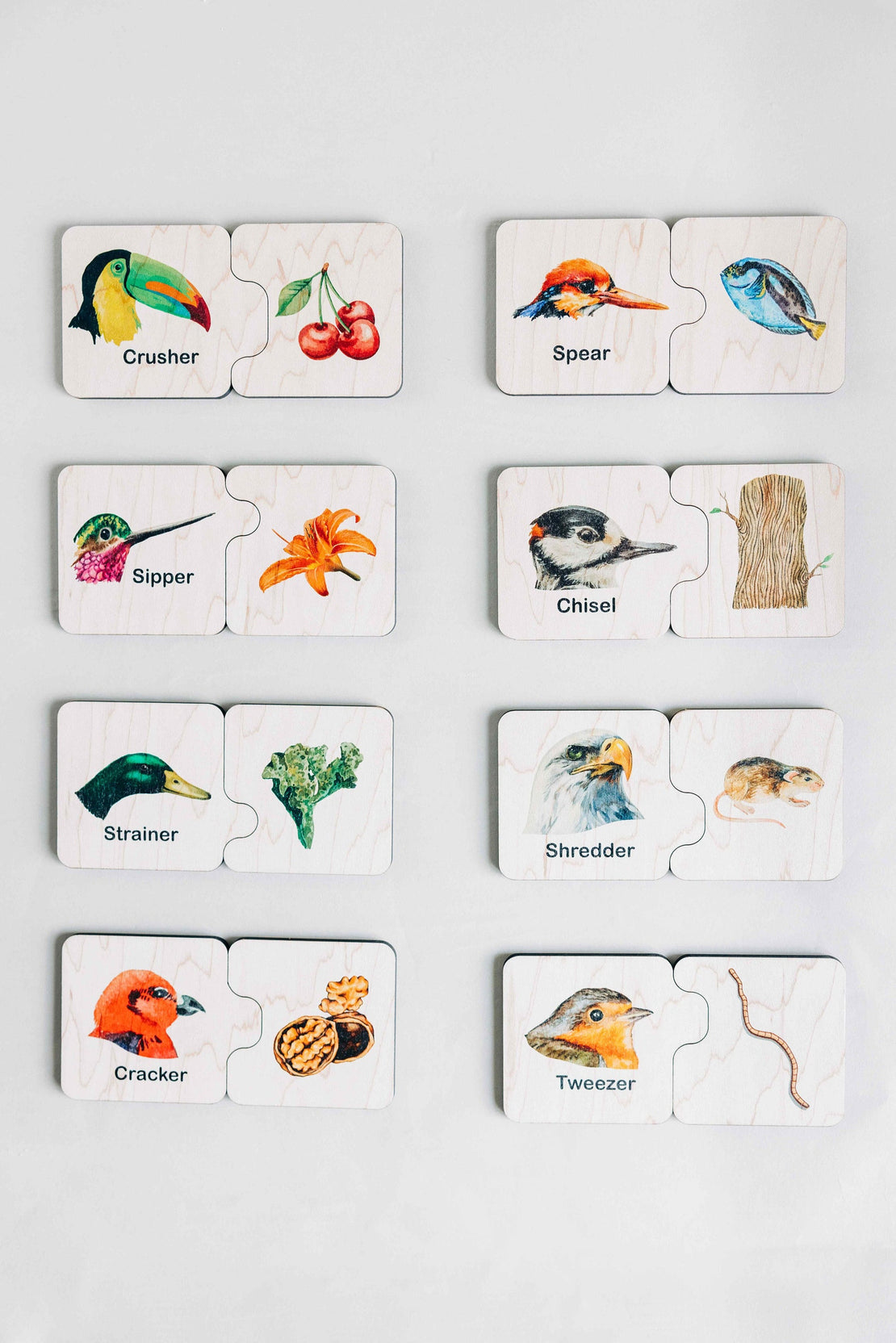 Double sided self-correcting bird beak adaptations puzzle, Montessori educational toys, bird lover puzzle