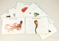 Ocean anatomy prints *** DIGITAL DOWNLOAD *** classroom wall decor, parts of ocean animal posters