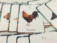 Farm alphabet cards, flash cards, classroom decor, classroom wall art