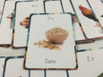 Farm alphabet cards, flash cards, classroom decor, classroom wall art