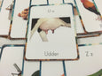 Farm alphabet cards, flash cards, classroom decor, classroom wall art