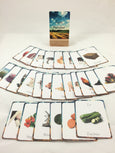 Farm alphabet cards, flash cards, classroom decor, classroom wall art