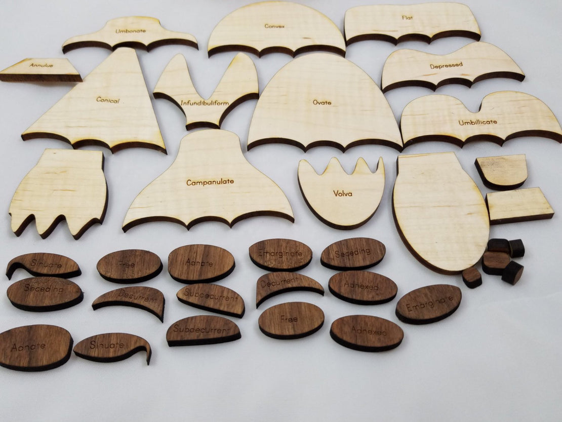 Build a mushroom kit - mushroom play kit - mushroom cards