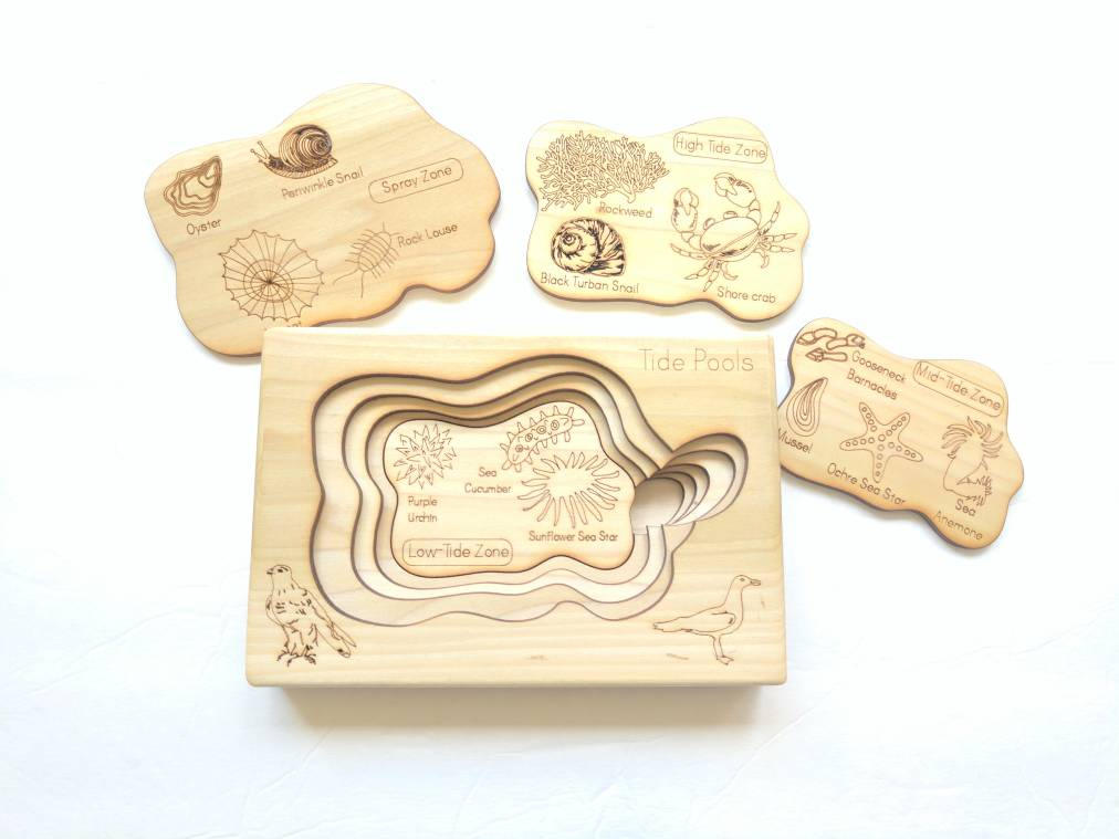 Tidepool layered puzzle, ocean wooden puzzle, montessori wooden puzzle, educational toys