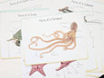 Ocean anatomy prints *** DIGITAL DOWNLOAD *** classroom wall decor, parts of ocean animal posters