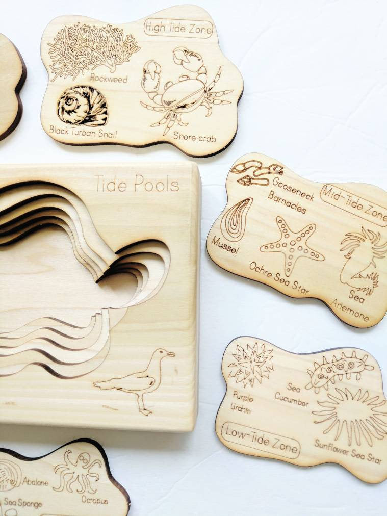 Tidepool layered puzzle, ocean wooden puzzle, montessori wooden puzzle, educational toys
