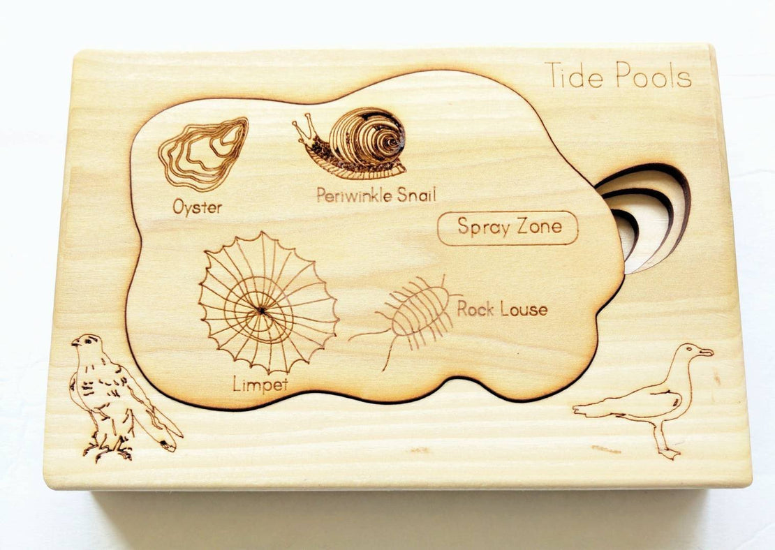 Tidepool layered puzzle, ocean wooden puzzle, montessori wooden puzzle, educational toys