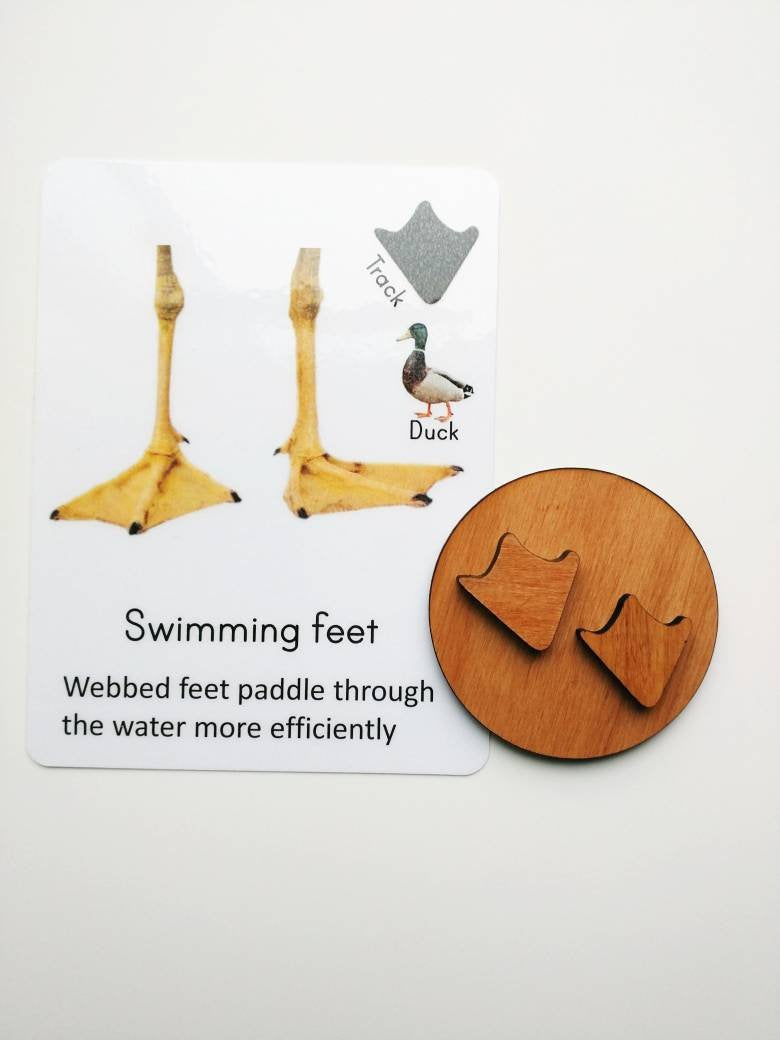 Bird feet playdough stamps, playdough stampers, educational toys, montessori