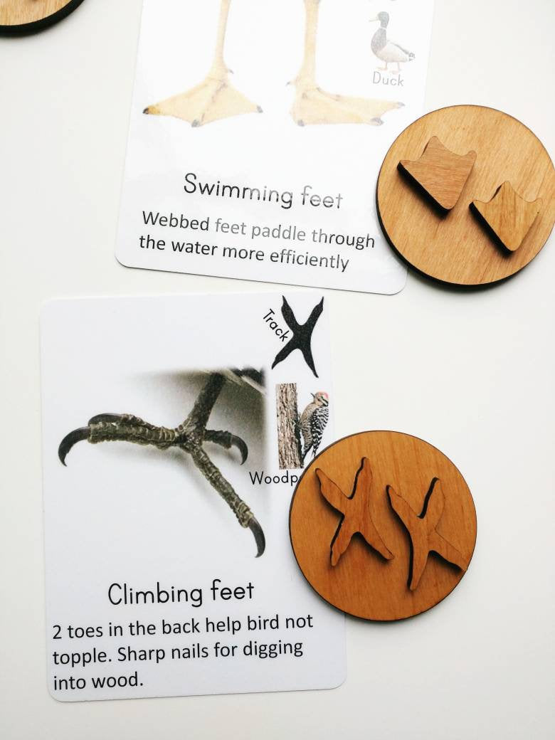 Bird feet playdough stamps, playdough stampers, educational toys, montessori