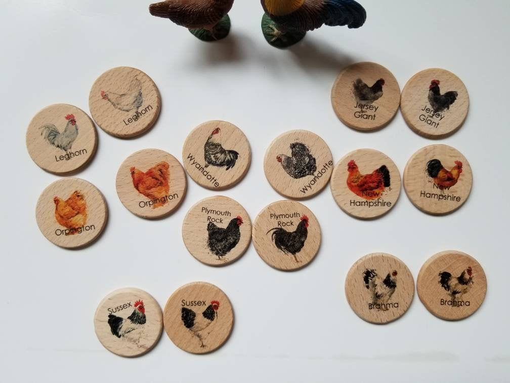 Wooden memory game - chicken breed hen rooster match