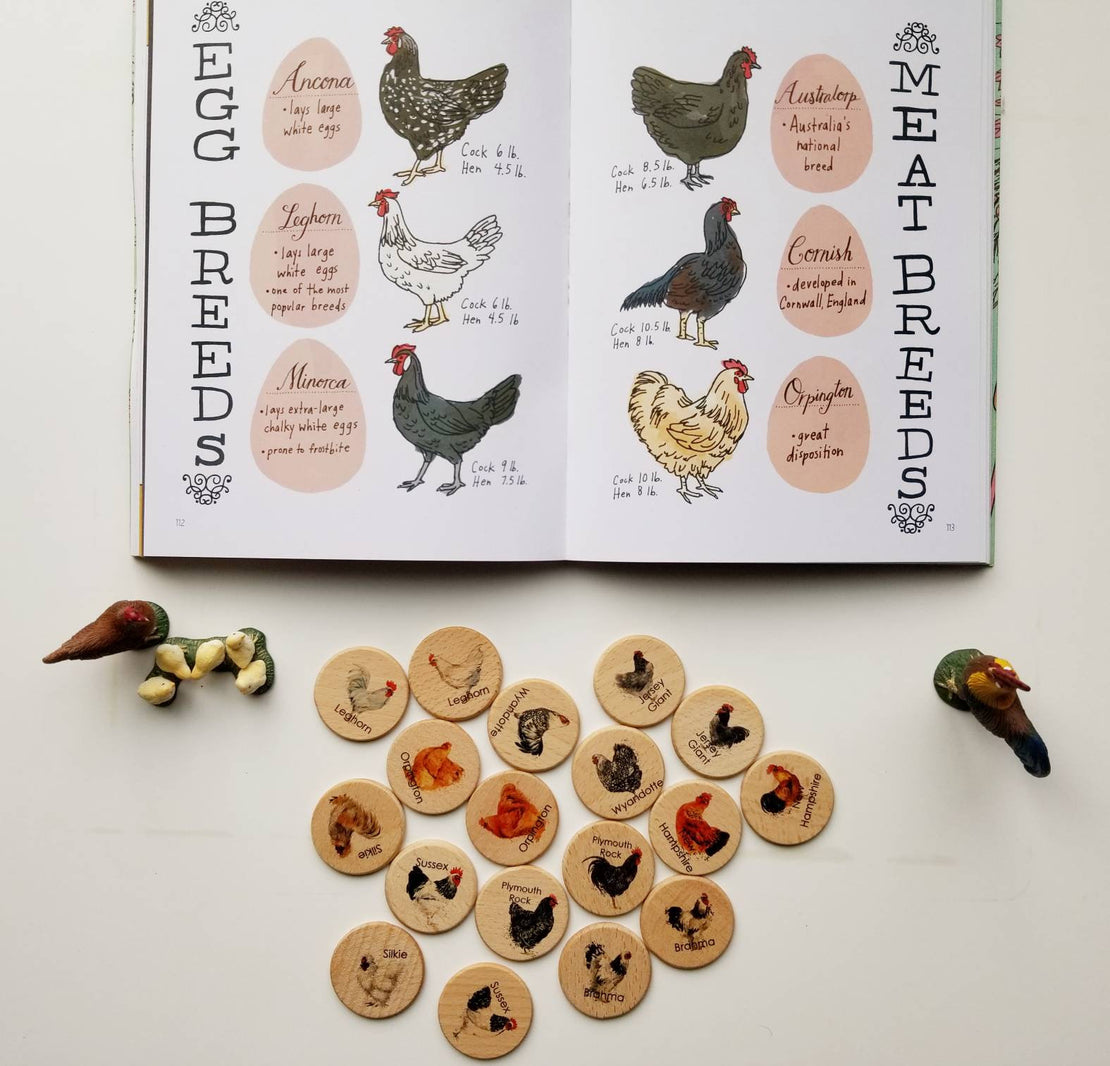 Wooden memory game - chicken breed hen rooster match