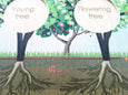 Life cycle board - life cycle of an apple tree puzzle- Montessori - life cycle of a plant