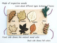 Leaf puzzle, Montessori puzzle, Christmas gift, wooden puzzle, stem toy
