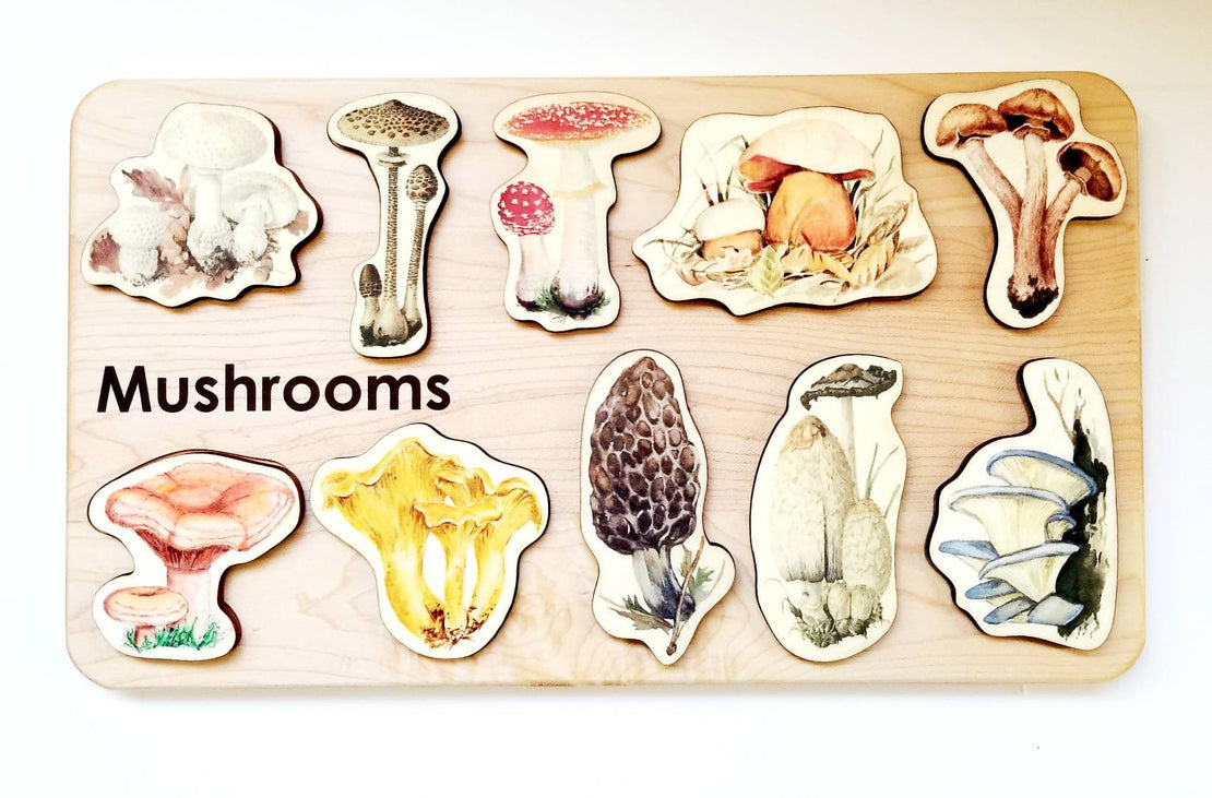 Mushroom wooden puzzle