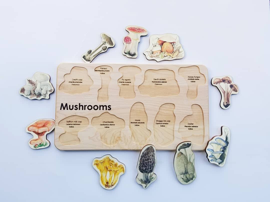 Mushroom wooden puzzle