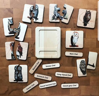 Owl puzzle - owl gifts - owl toy - gifts for owl lover - Montessori toys - stocking stuffer- Christmas gift - wooden toys - owl study