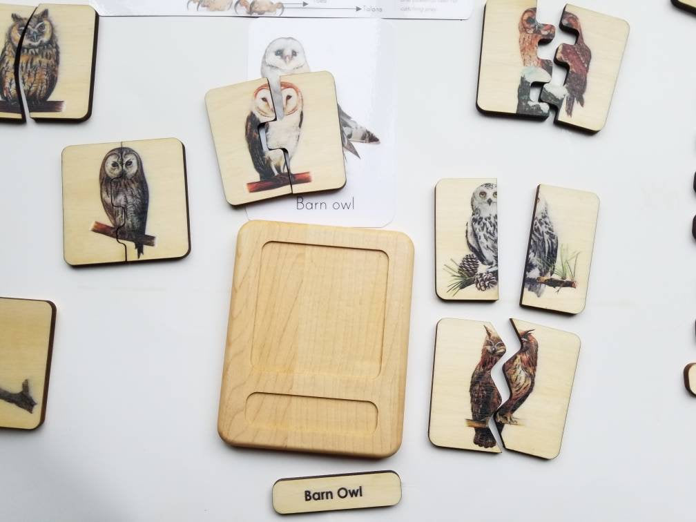 Owl puzzle - owl gifts - owl toy - gifts for owl lover - Montessori toys - stocking stuffer- Christmas gift - wooden toys - owl study
