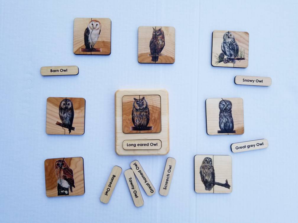 Owl puzzle - owl gifts - owl toy - gifts for owl lover - Montessori toys - stocking stuffer- Christmas gift - wooden toys - owl study