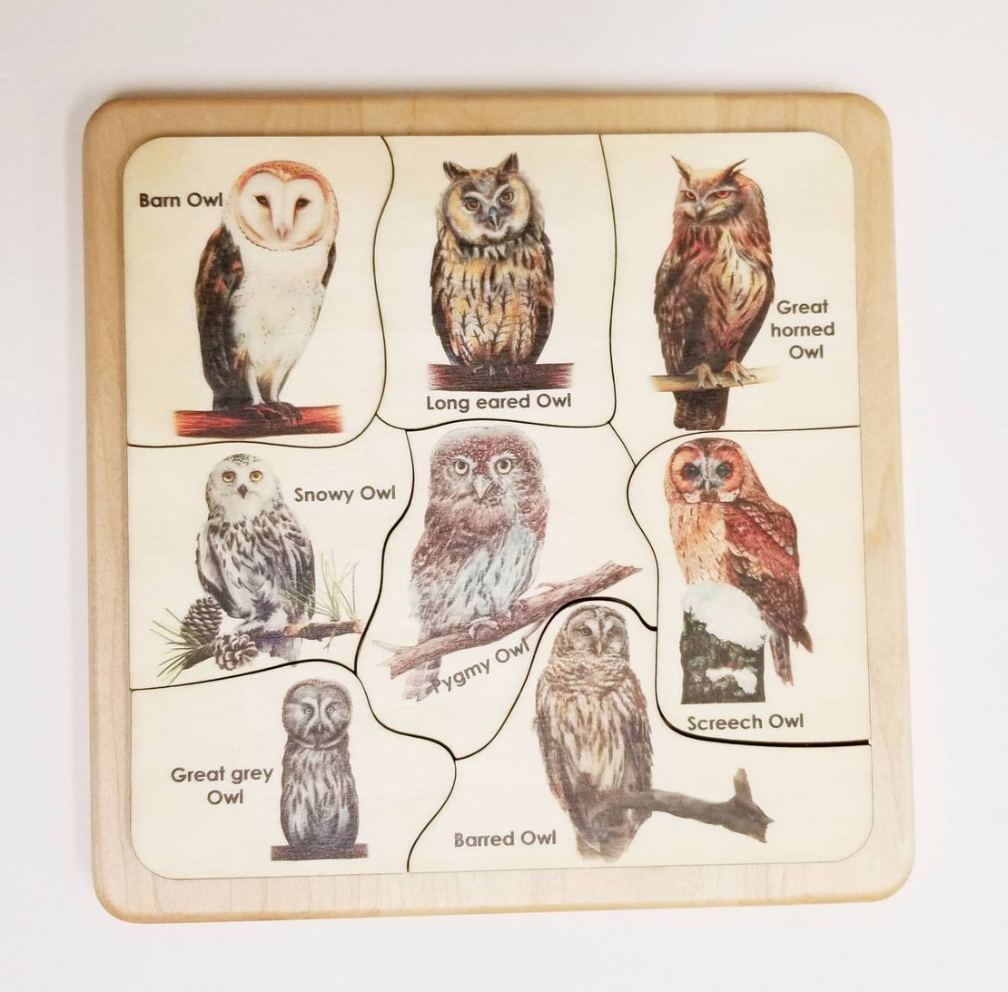 Owl puzzle - owl pellet study - Montessori toys - Waldorf toys - owl toys - wooden toys - stem gift- Montessori materials - wooden puzzle