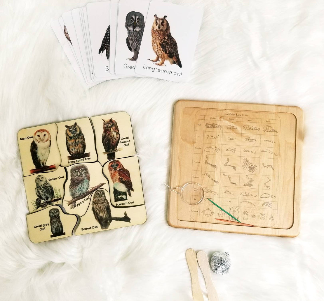 Owl puzzle - owl pellet study - Montessori toys - Waldorf toys - owl toys - wooden toys - stem gift- Montessori materials - wooden puzzle