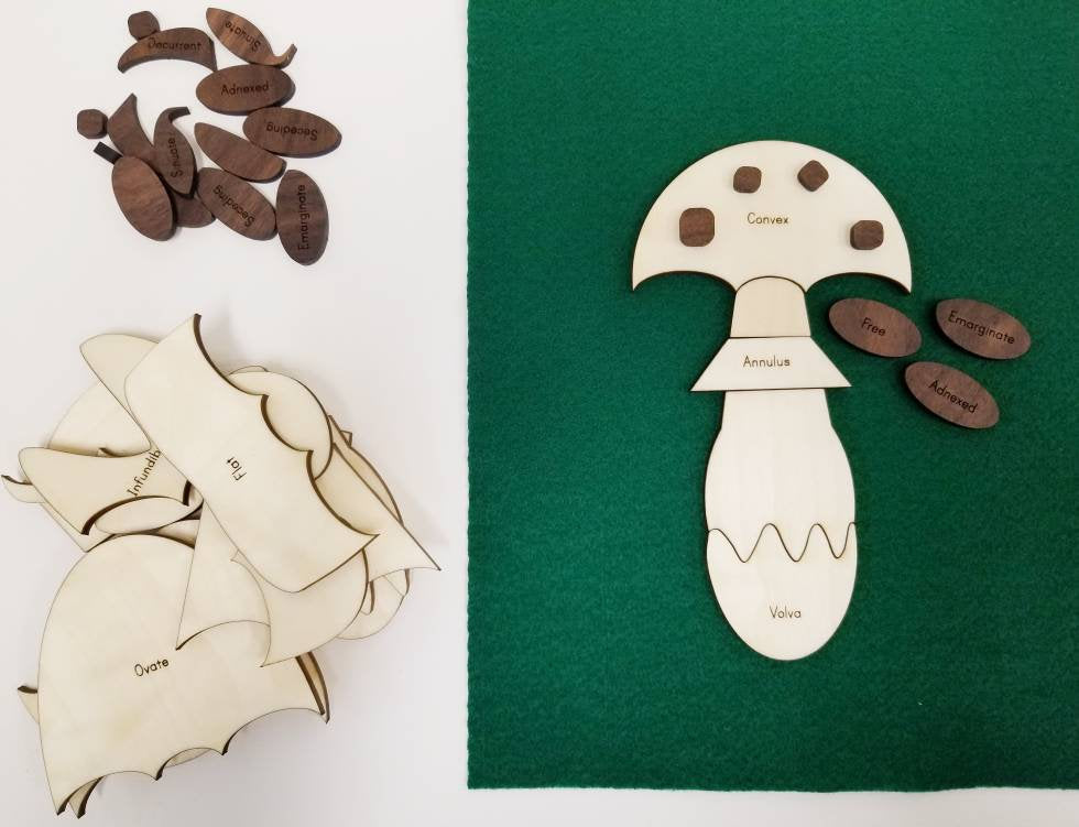 Build a mushroom kit - mushroom play kit - mushroom cards