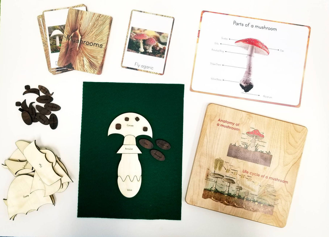 Build a mushroom kit - mushroom play kit - mushroom cards